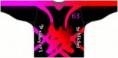 /album/maillots-et-logo1/a7pfkj7m2d7-jpg/