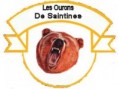 /album/maillots-et-logo/a15956-jpg/